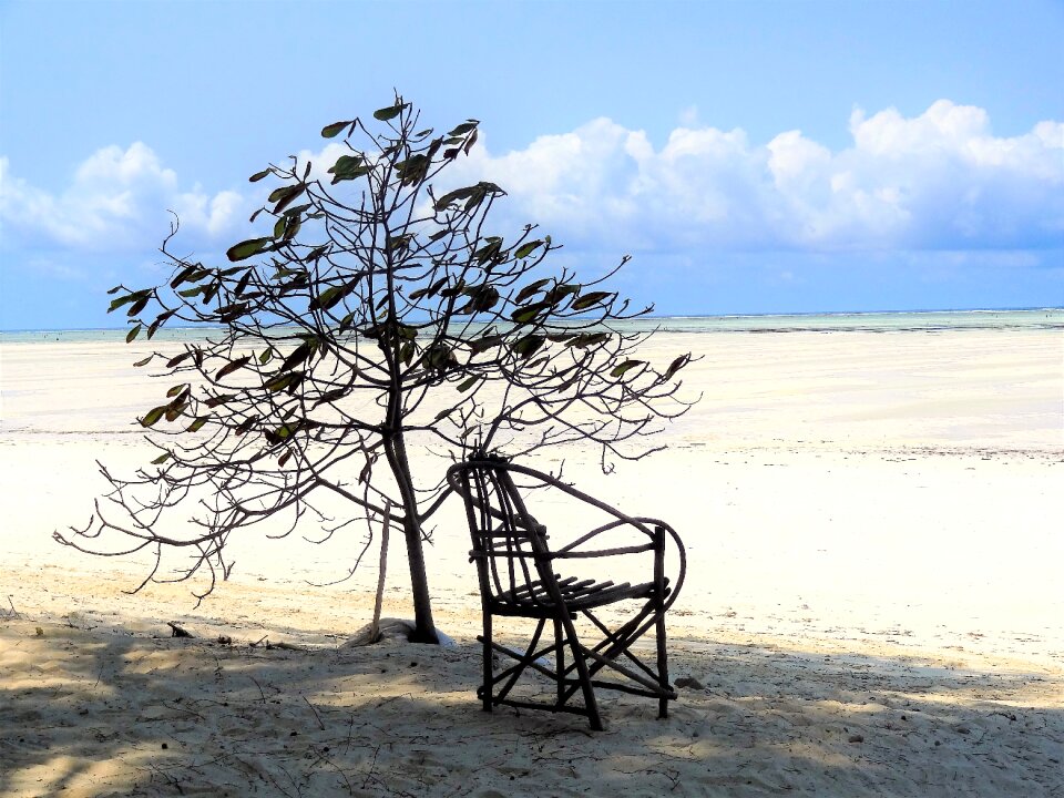 Chair tree atmosphere