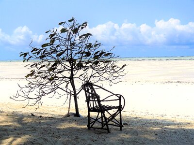 Chair tree atmosphere