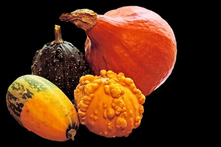 Vegetables food autumn motives