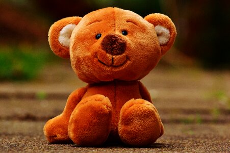 Stuffed animal teddy bear brown bear photo