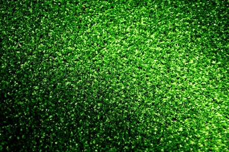 Green beautiful fake