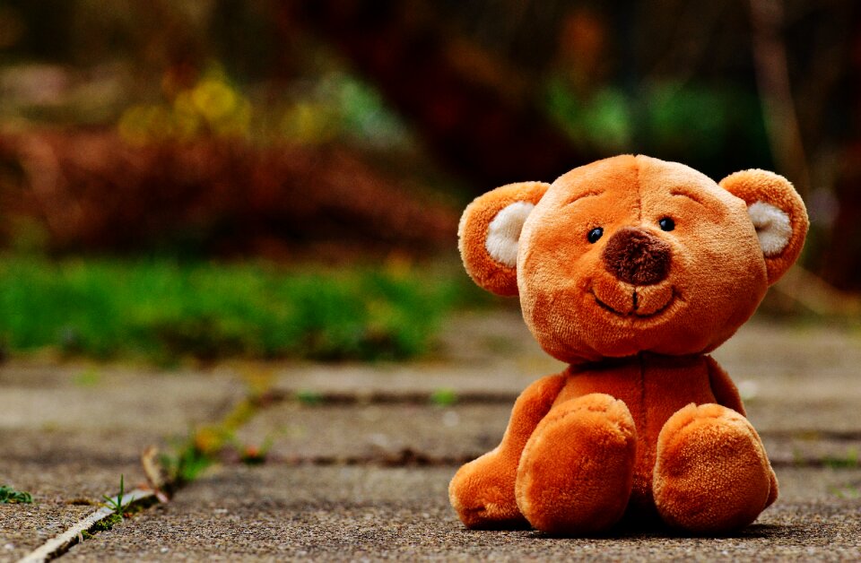 Stuffed animal teddy bear brown bear