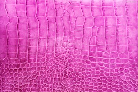 Leather crocodile artificial