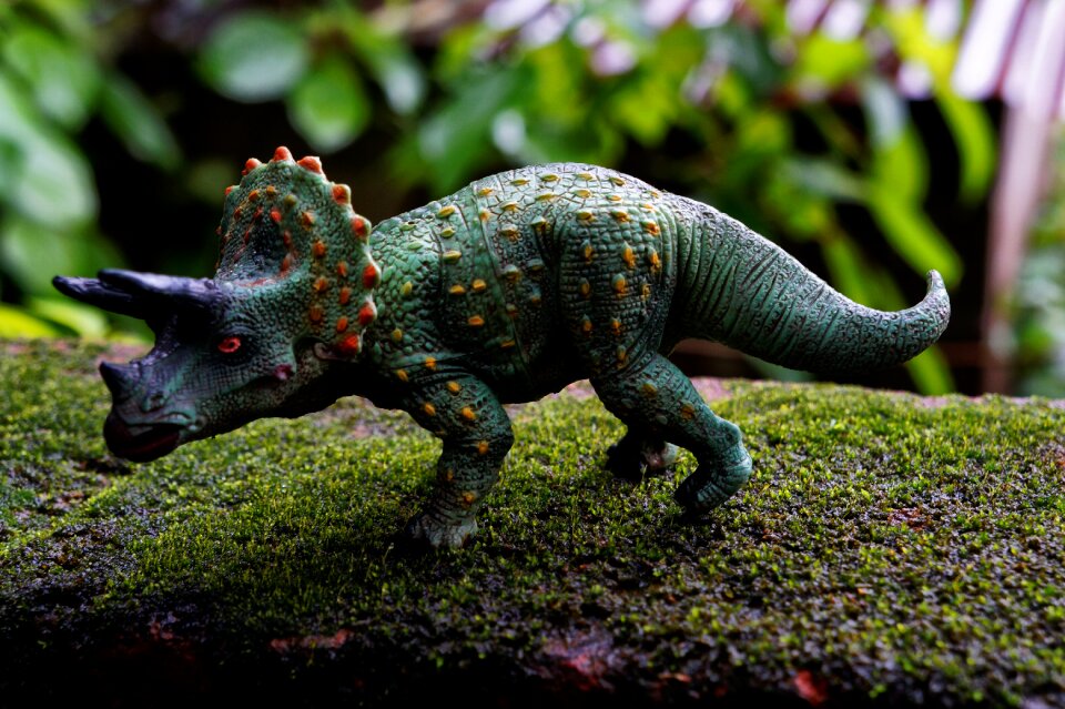 Triceratops prehistory stone age