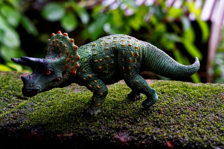 Triceratops prehistory stone age