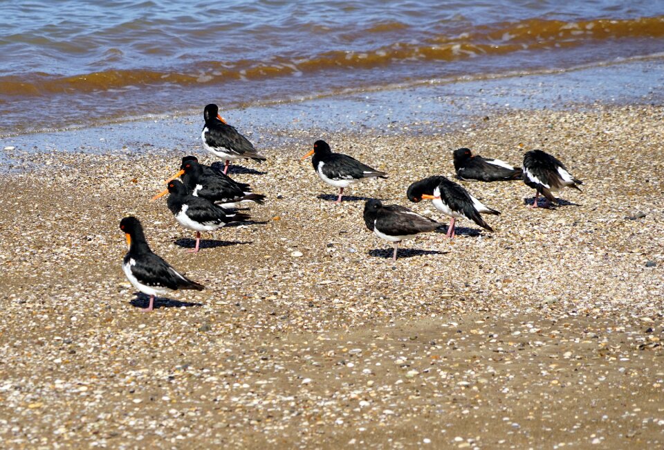 Sea beach water new zealand