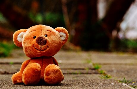 Stuffed animal teddy bear brown bear