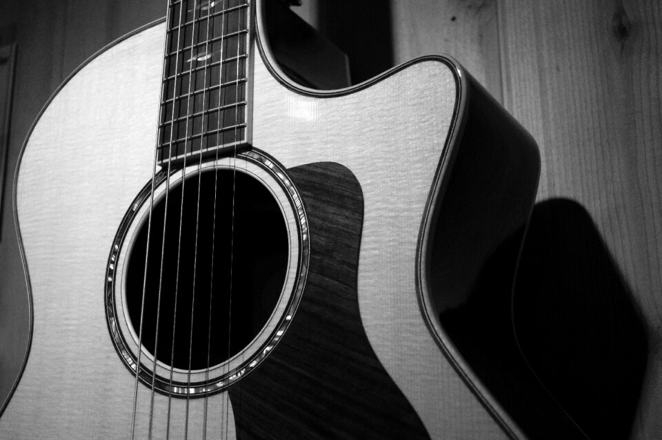 Musician grain string instrument