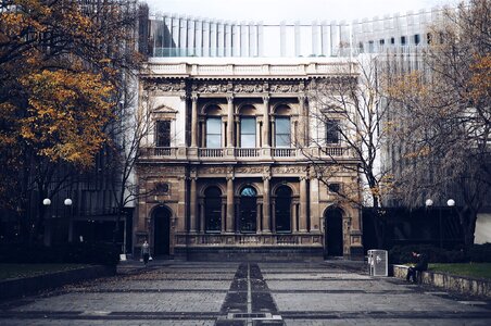 Pillars trees windows photo