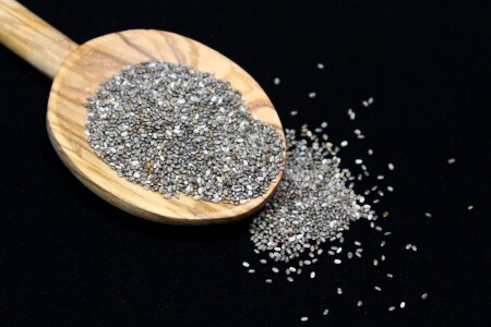 Chia mexican chia salvia hispanica