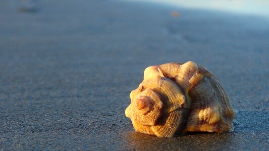 Beach sea sand