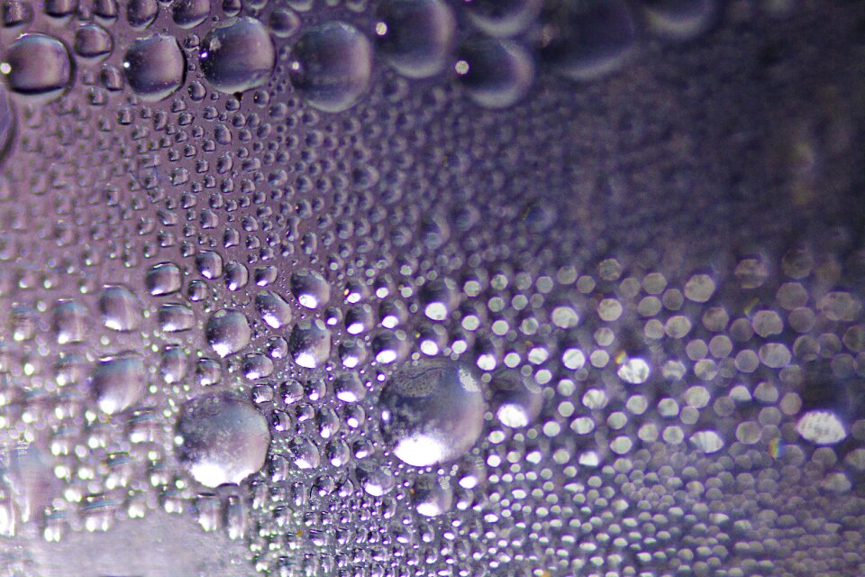 Freshness fogging condensation