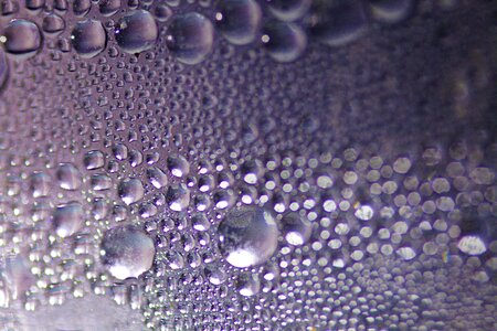 Freshness fogging condensation