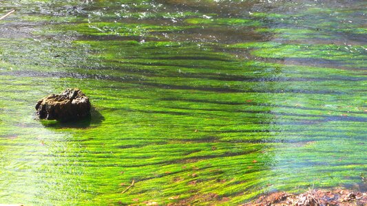 Flow stream landscape photo