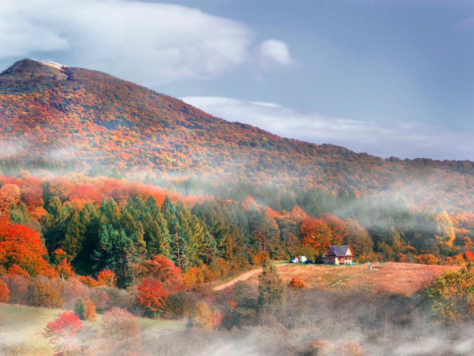 Cottage autumn foliage