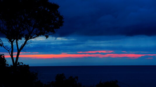 Tree twilight dark cloud