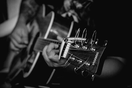 Sound guitar gray music