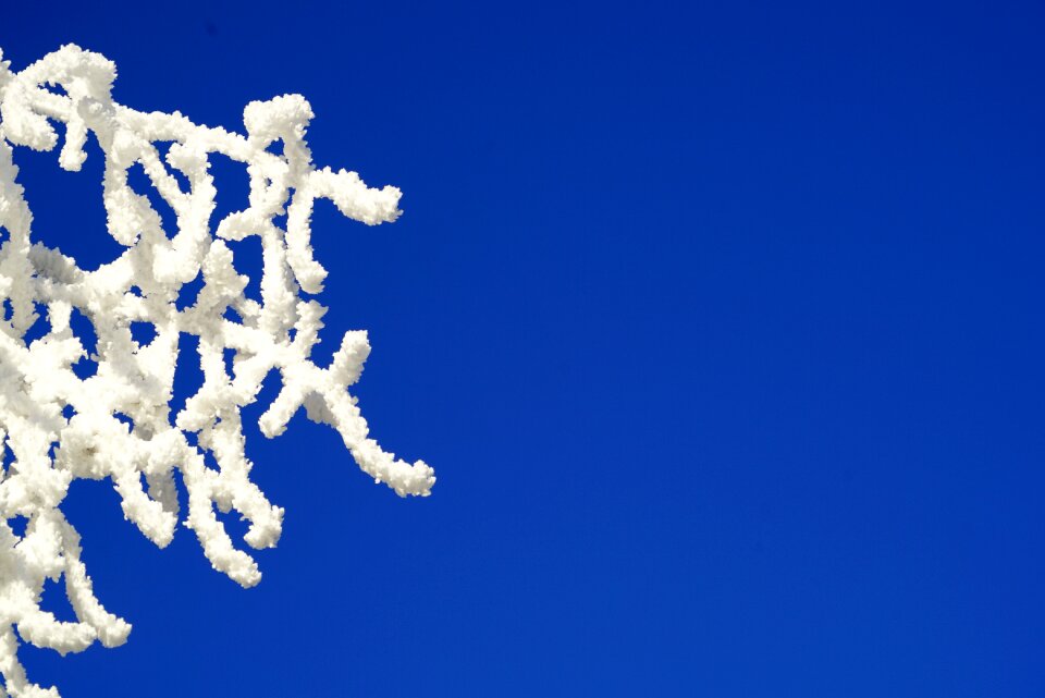 Blue iced crystal formation