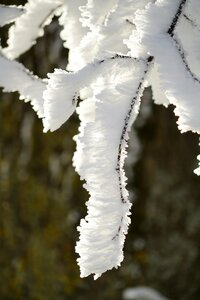 Iced crystal formation snowy photo