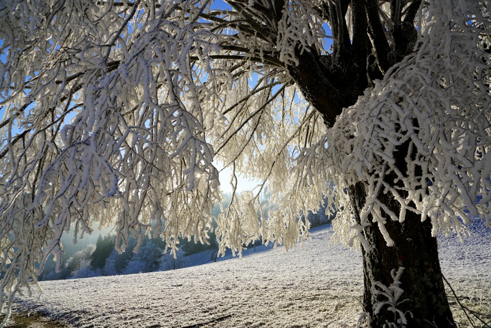Iced crystal formation snowy