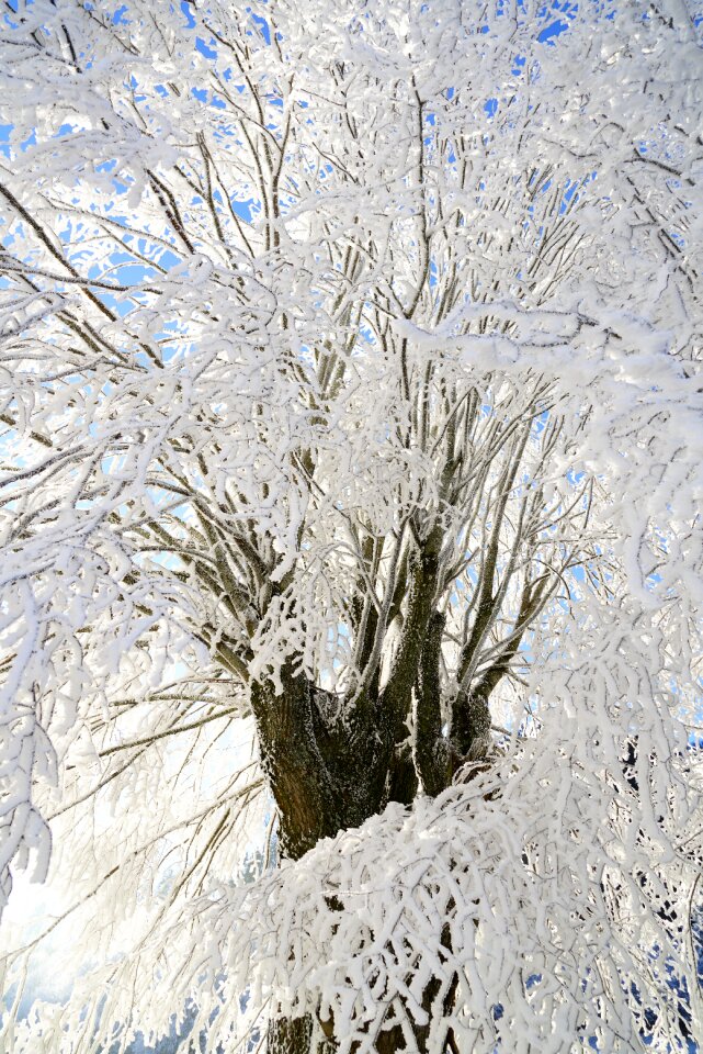Iced crystal formation snowy