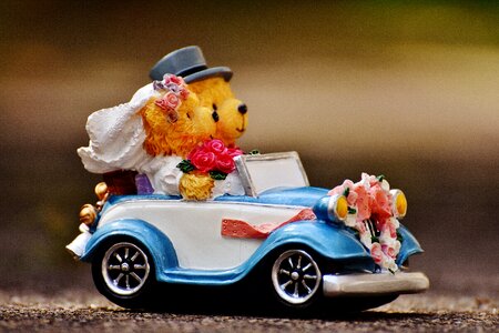 Funny invitation greeting card
