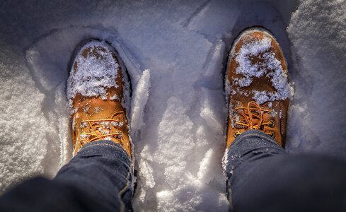 Cold white winter