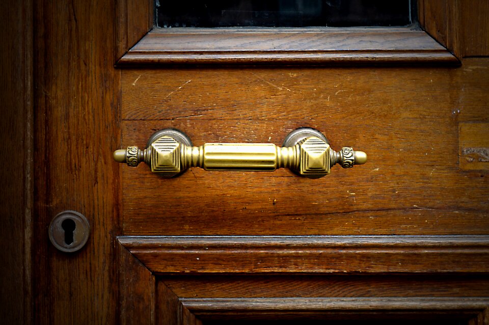Thumper wooden door art nouveau