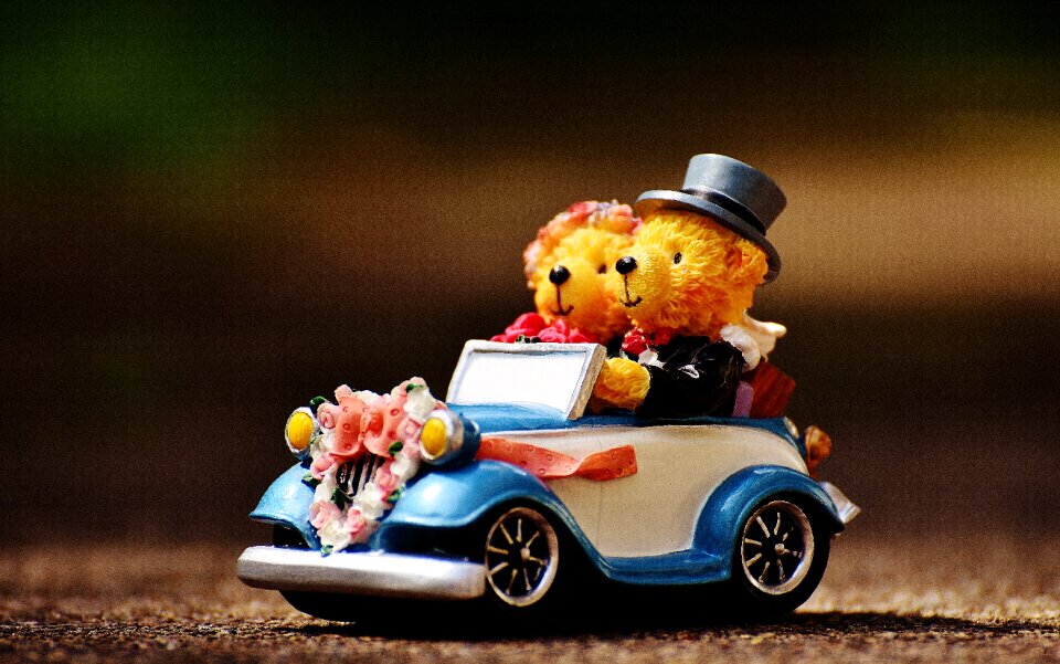 Funny invitation greeting card