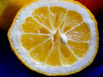 Food and drink vitamin c citrus photo
