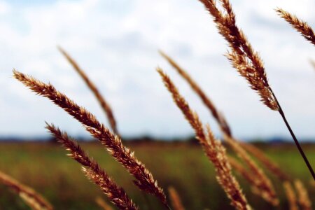 Landscape nature sky