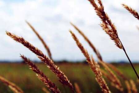 Landscape nature sky photo