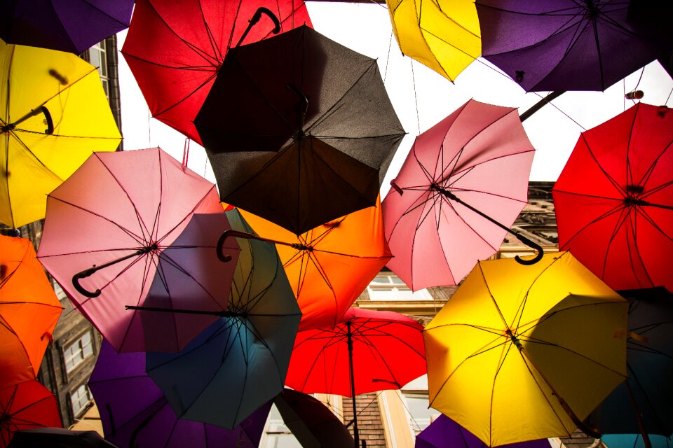 Avenue color beautiful