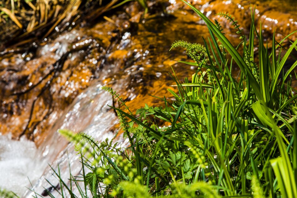 Water the nature of the wet