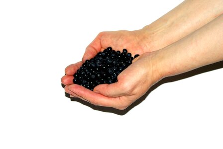 Woman hands isolated