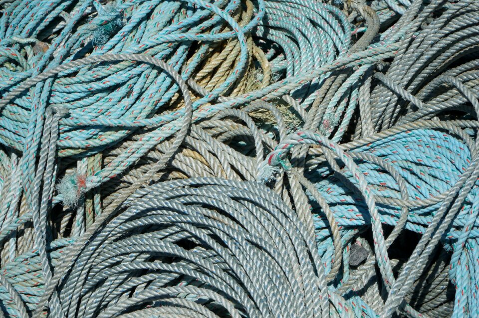 Industry sea fish