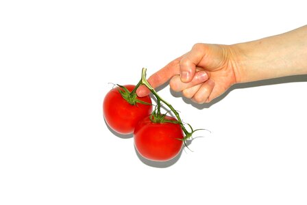 Woman holding plant