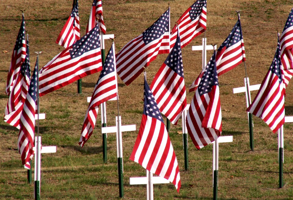 Patriotism veteran day graves