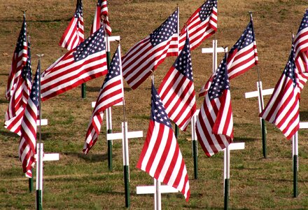 Patriotism veteran day graves
