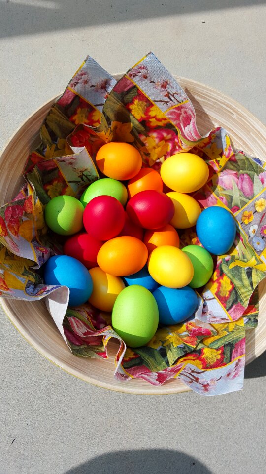 Color bright easter bunny