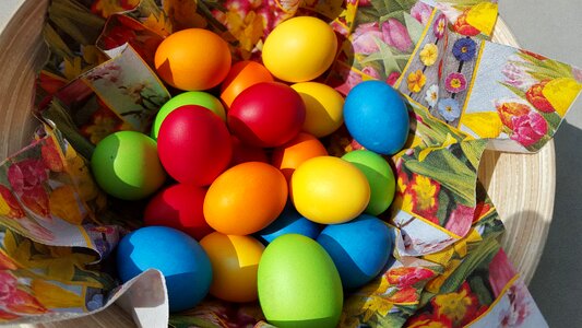 Color bright easter bunny photo
