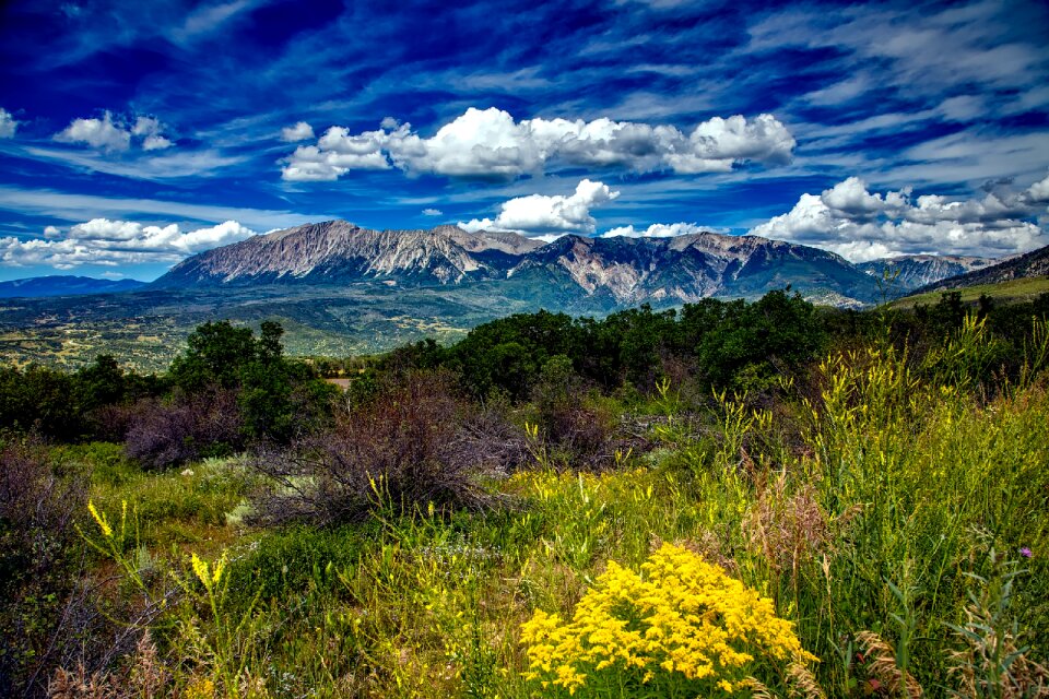 Nature outdoors meadow