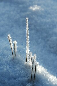Frozen iced frost photo