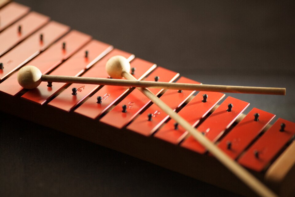 Mallets music musical instrument