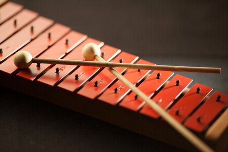 Mallets music musical instrument photo