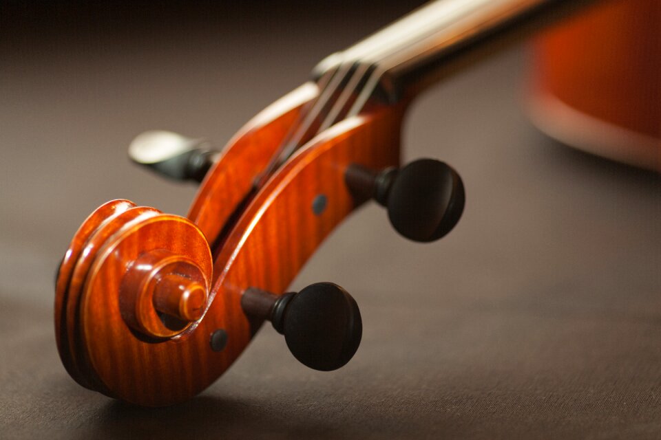 Bowed instrument bowed stringed instrument classic
