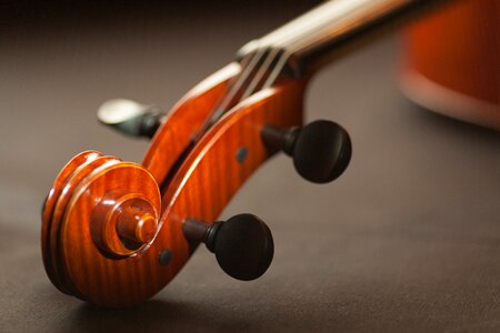 Bowed instrument bowed stringed instrument classic photo