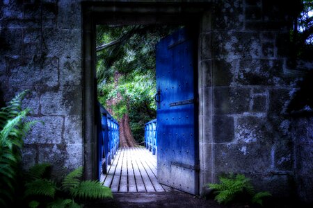 Old gate shadow photo