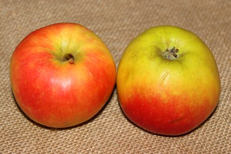 Fruit vitamins autumn