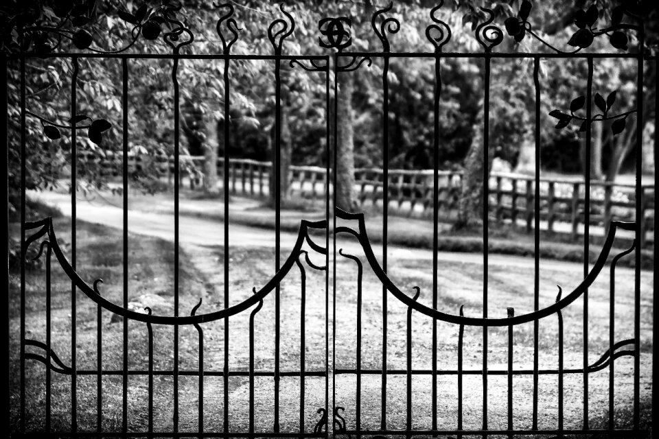 Iron railings ornament wrought iron